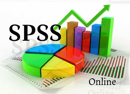 Research & SPSS Analysis